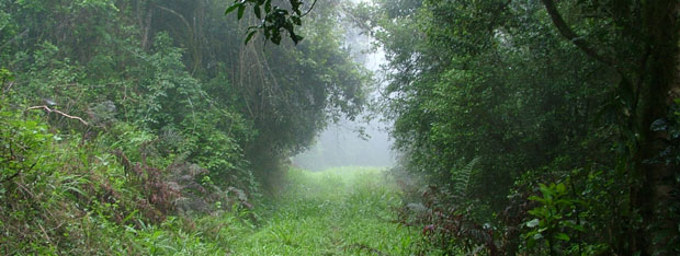 Motorcycle tour, Tzaneen, South Africa