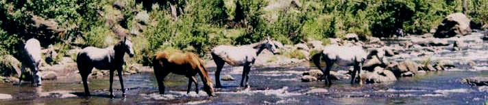 Motorcycle tour of Eastern Cape South Africa Naudes Nek Pass